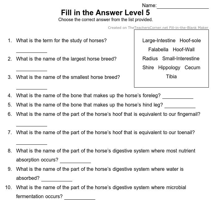Advanced Answers :: Sidney Hawk Equine